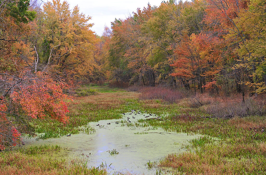 River Trail, Windsor, CT